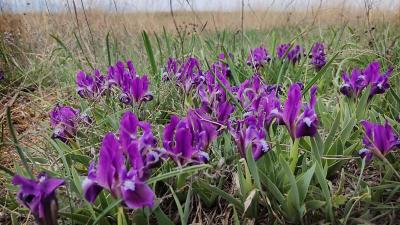 Прикрепленное изображение: IMG_20220410_114628.jpg